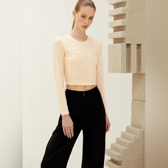 1-01 Babaton Aritzia Artemis Long Sleeve Bustier Top - Picture 2 of 11